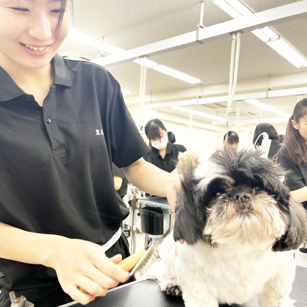 今日もたくさんのお客様！
